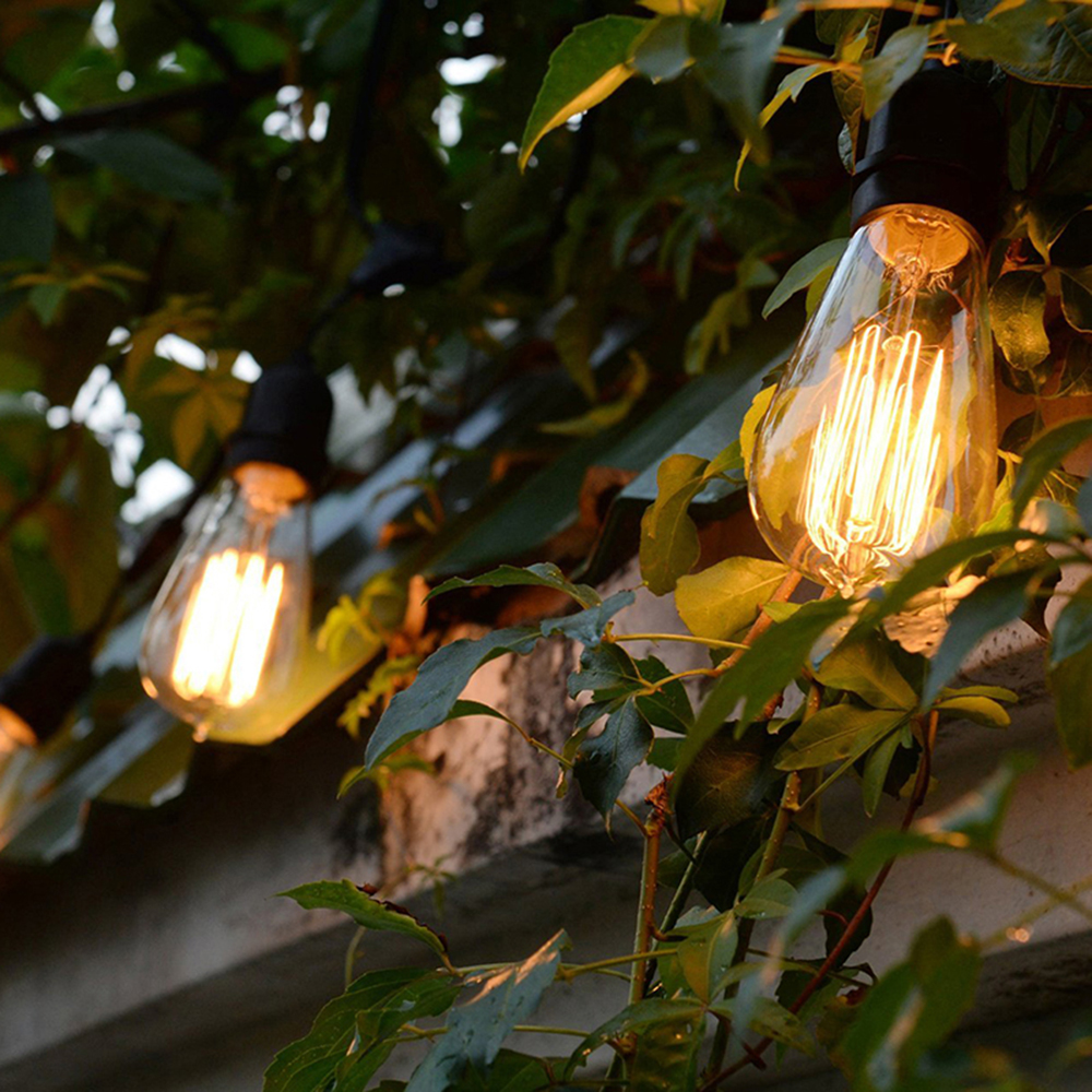 E27 Retro Edison Bulb 220V 40W - Lighting Decor For Living Room のレビューと価格