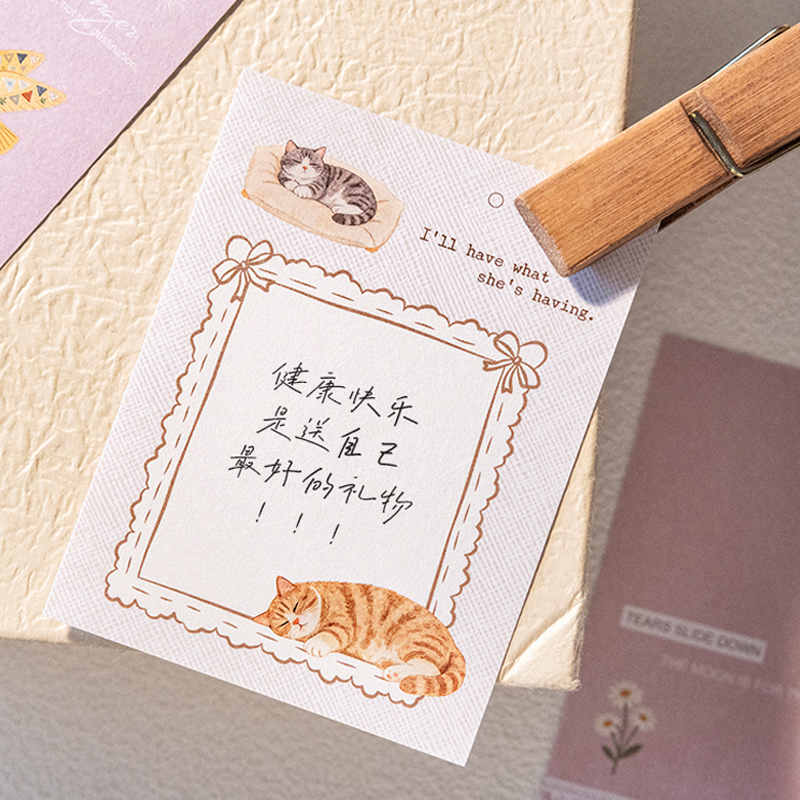 Mr.Paper 16Pcs/Book Light Slee - Decor Lighting Pack のレビューと価格