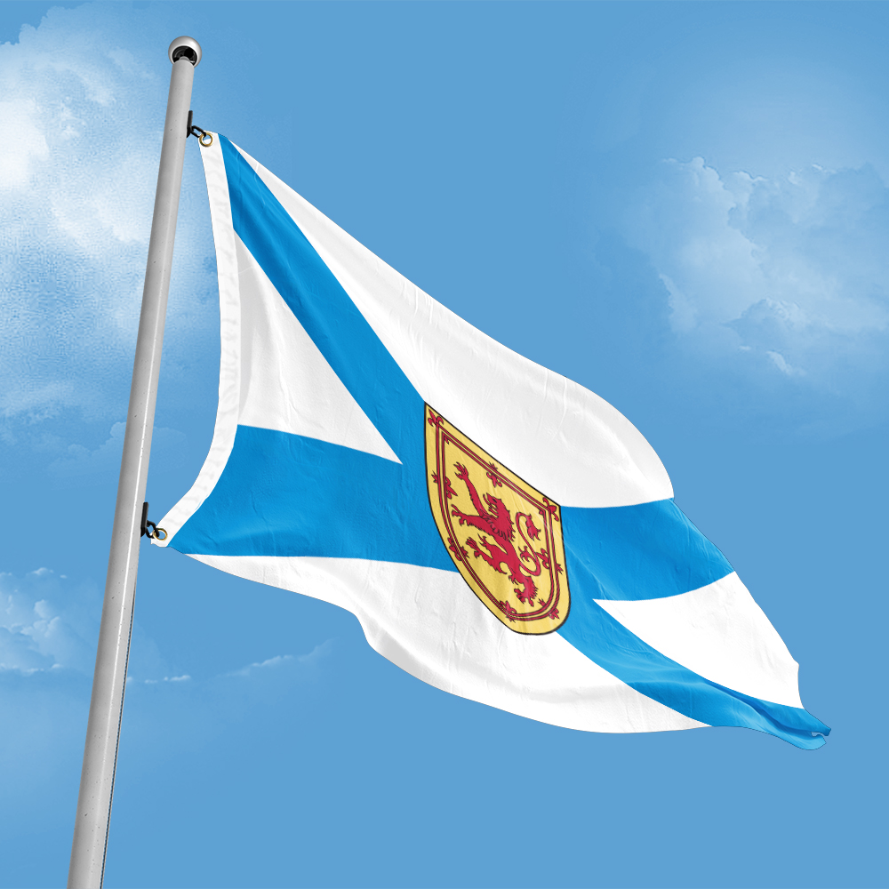 Canada Flag of Nova Scotia 3ft - Nova Decor & Lighting Vase のレビューと価格