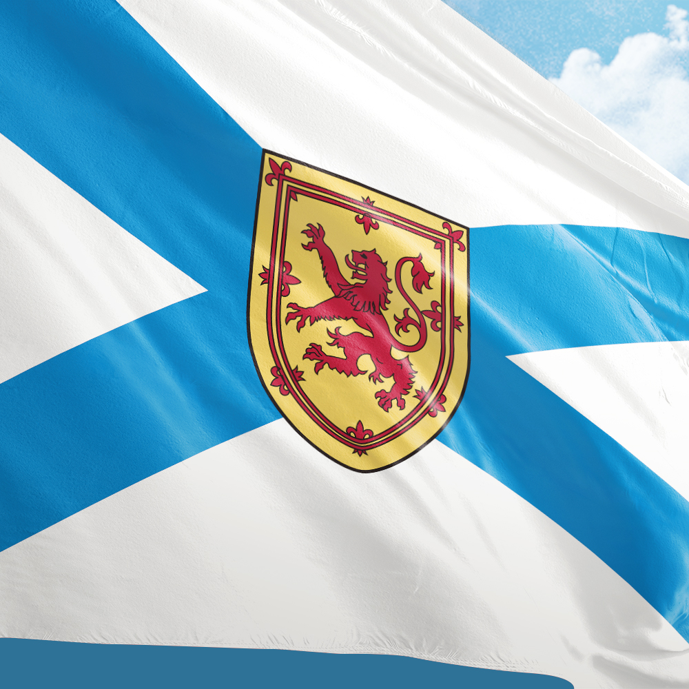 Canada Flag of Nova Scotia 3ft - Nova Decor & Lighting Vase のレビューと価格