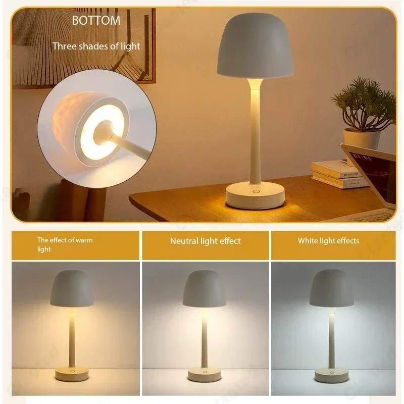 Night Light with Remote Contro - Decor Lighting Cy のレビューと価格