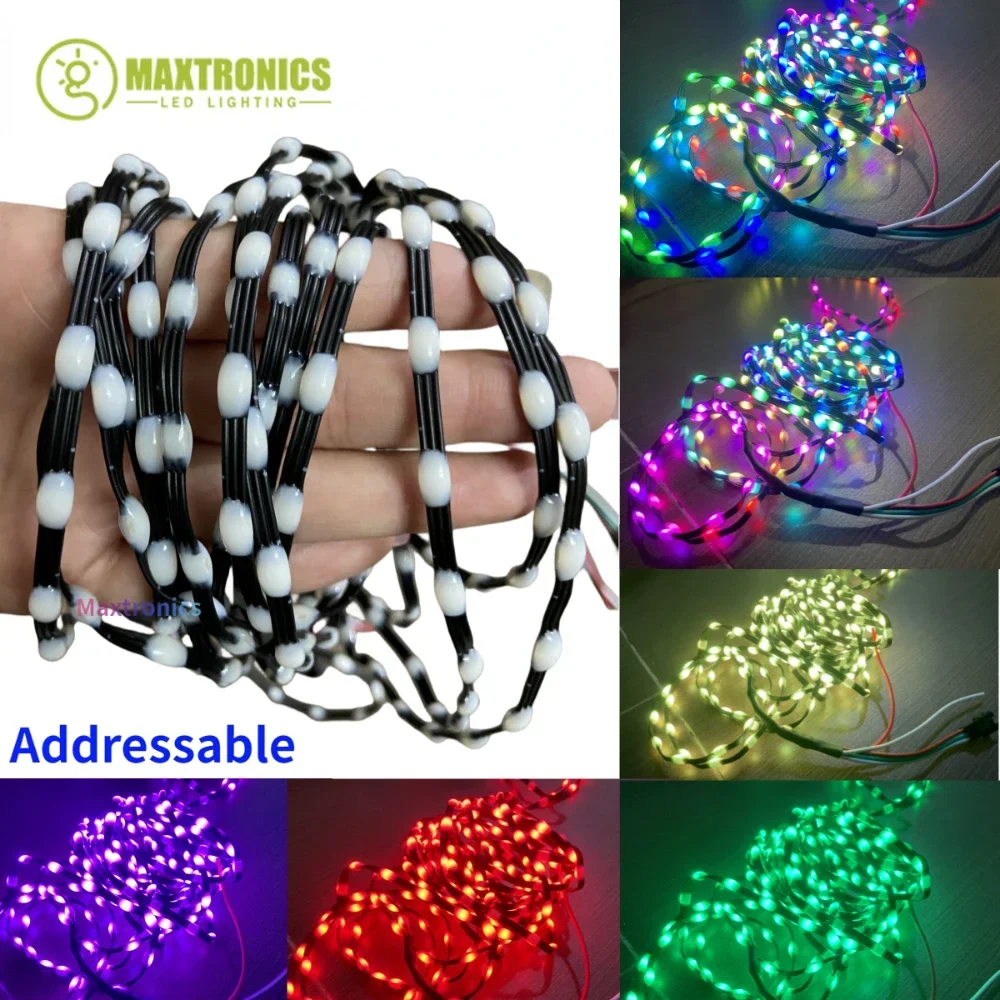 DC12V 1000-3000PCS Smart WS281 - Decor Lighting Address のレビューと価格