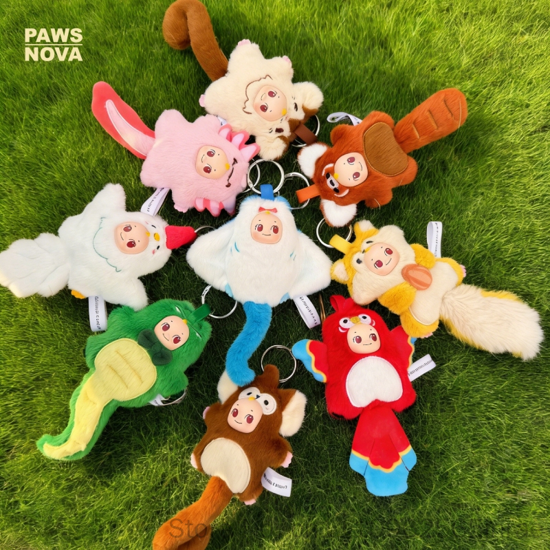 Paws Nova Authentic Official K - Nova Decor & Lighting Vase のレビューと価格