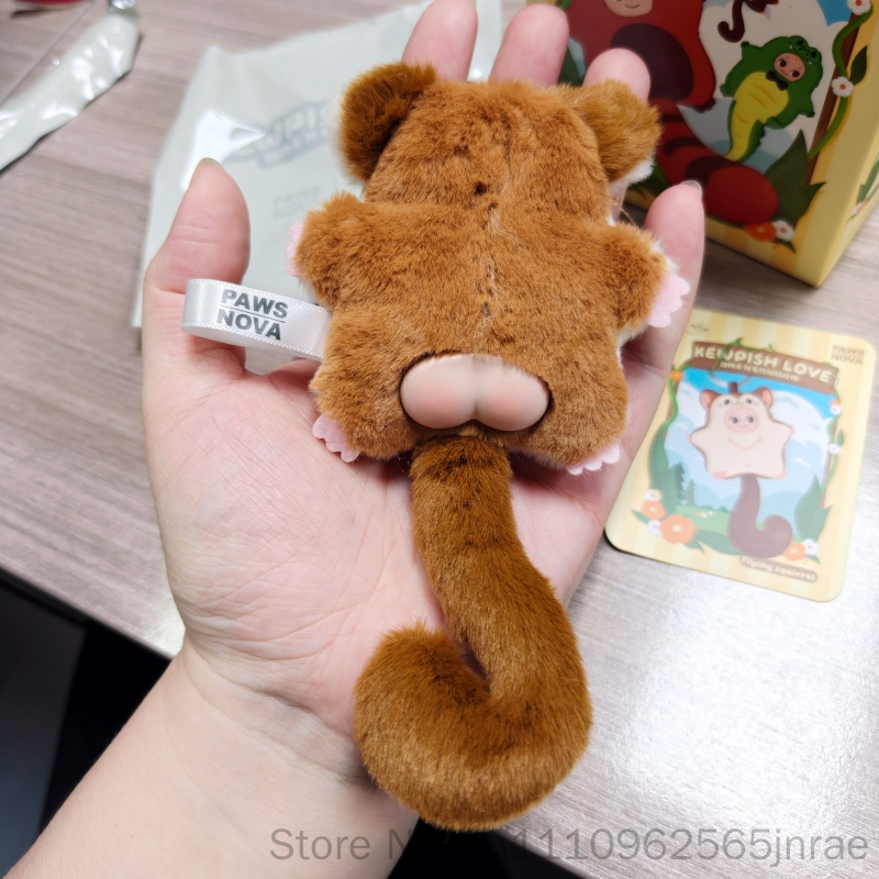 Paws Nova Authentic Official K - Nova Decor & Lighting Vase のレビューと価格